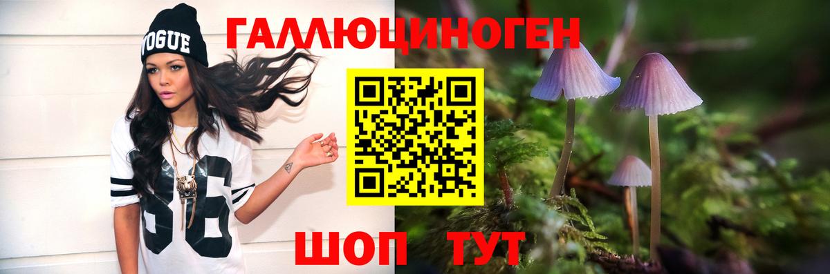 Галлюциногенные грибы ЛСД  Вход с VPN  где можно купить   Гулькевичи  Галлюциногенные грибы Cubensis 